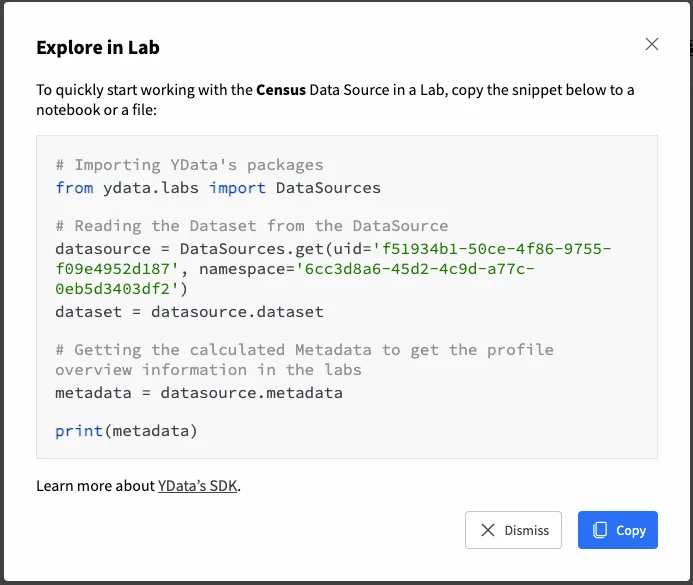 Dataset code snippet